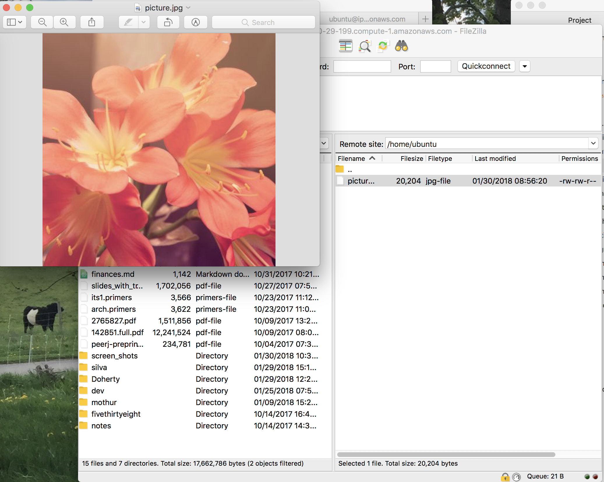 :scale A random picture 