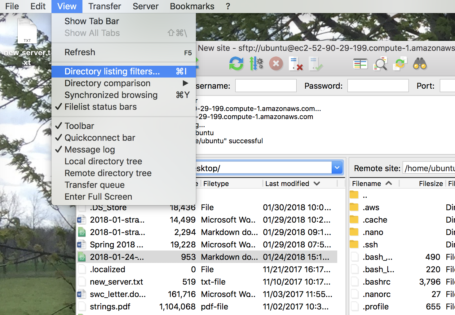 :scale Filezilla -> View 